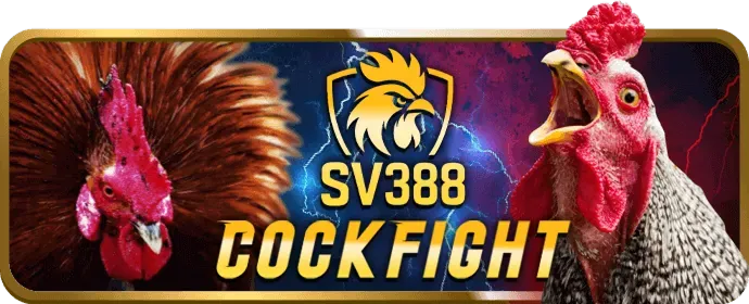 Tiền thưởng nạp lại hàng ngày tại 62win